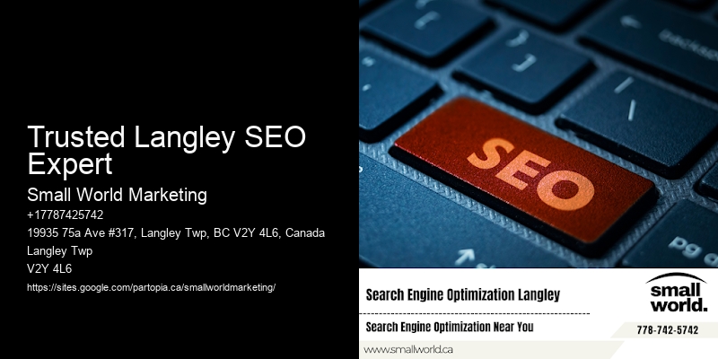 Trusted Langley SEO Expert