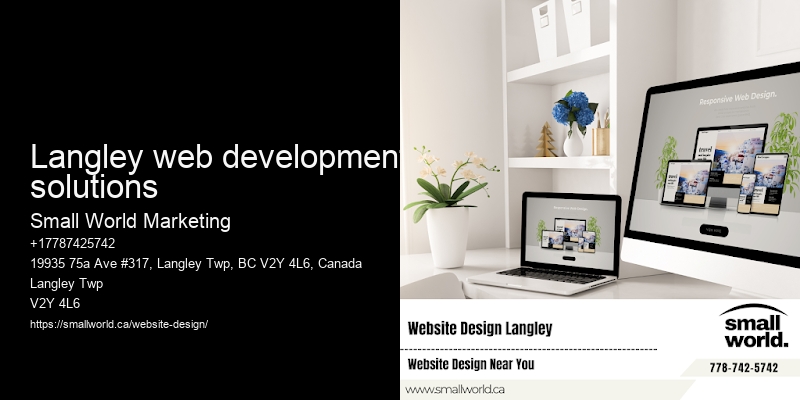 Langley web development solutions