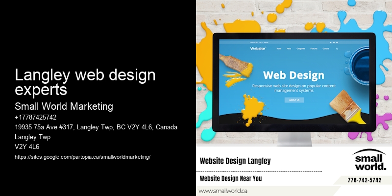 Langley web design experts