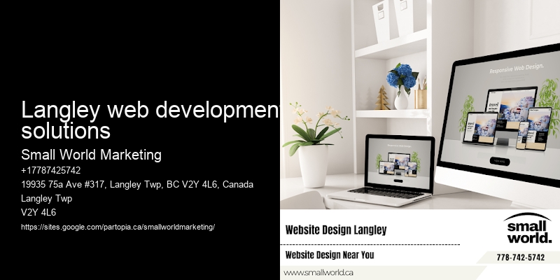 Langley web development solutions