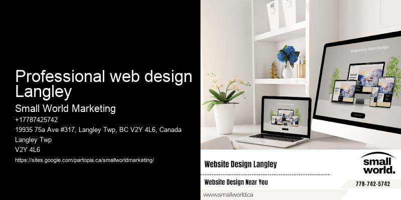 Professional web design Langley