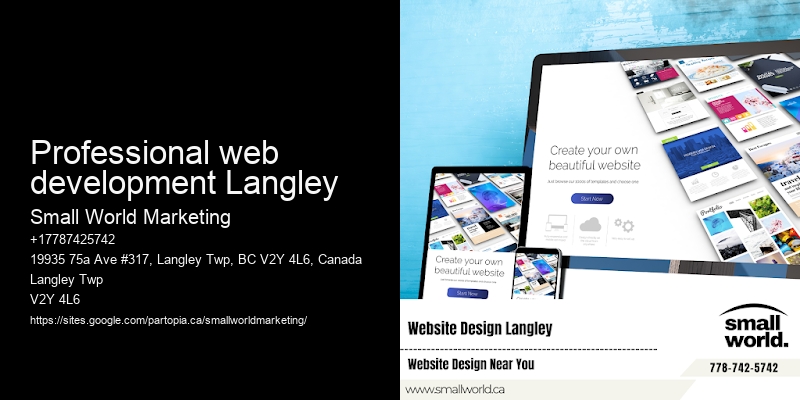 Professional web development Langley