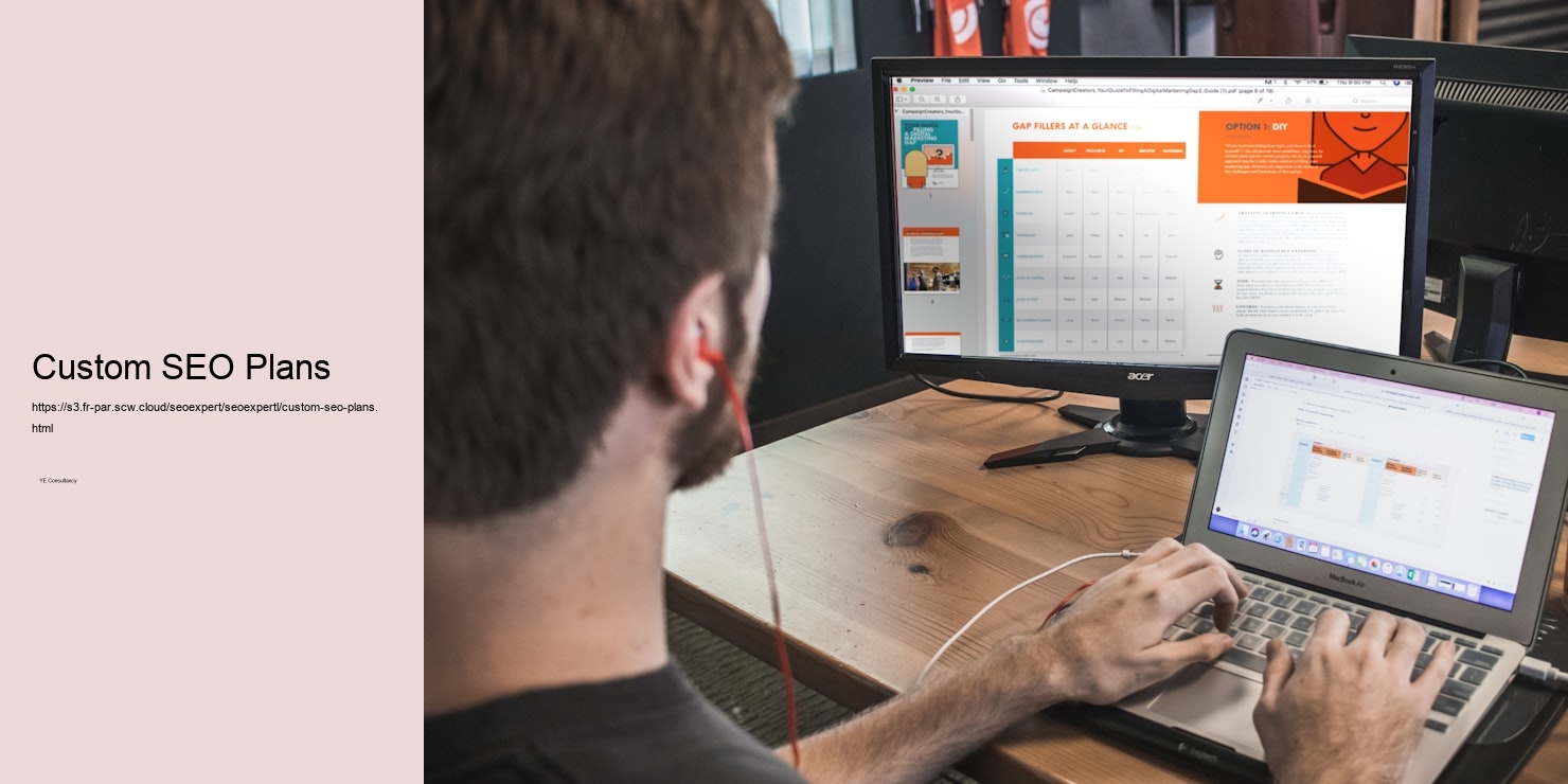 Custom SEO Plans