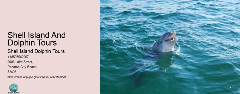Shell Island And Dolphin Tours