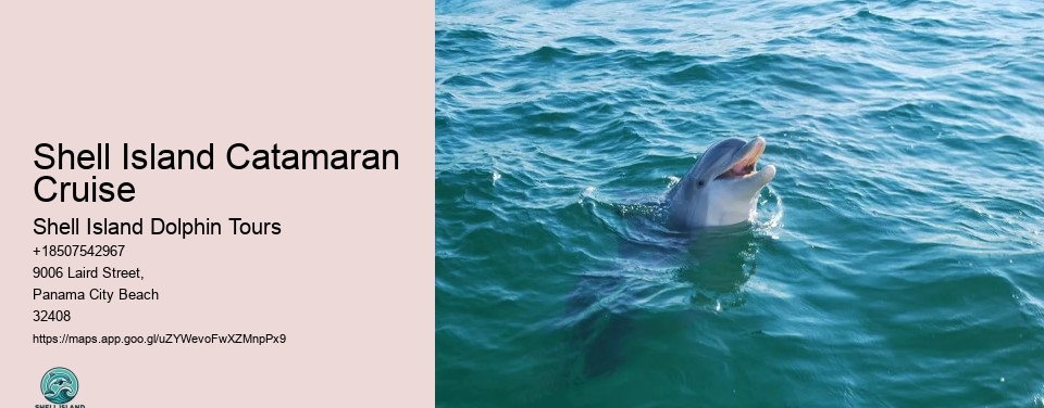 Shell Island Catamaran Cruise