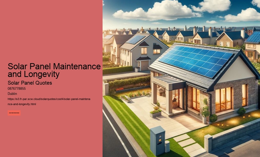 Solar Panel Maintenance and Longevity
