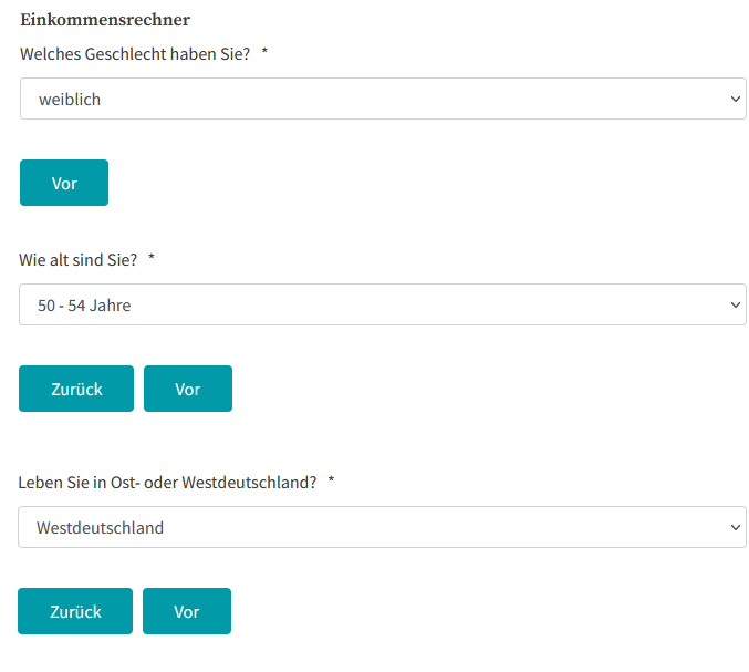 Das Bild zeigt einen Auszug des Eingabefeldes des Einkommensrechners