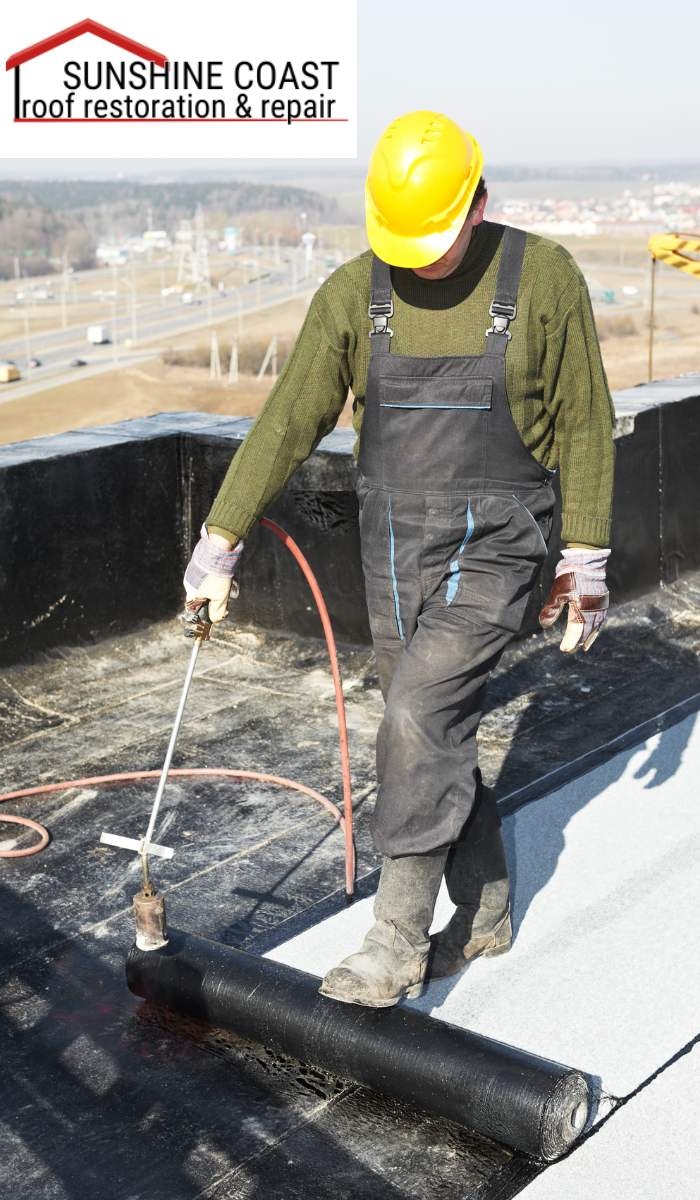 What are the signs of mold or algae on my roof?