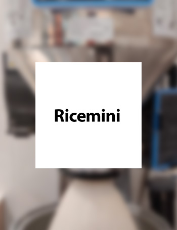 Image Ricemini