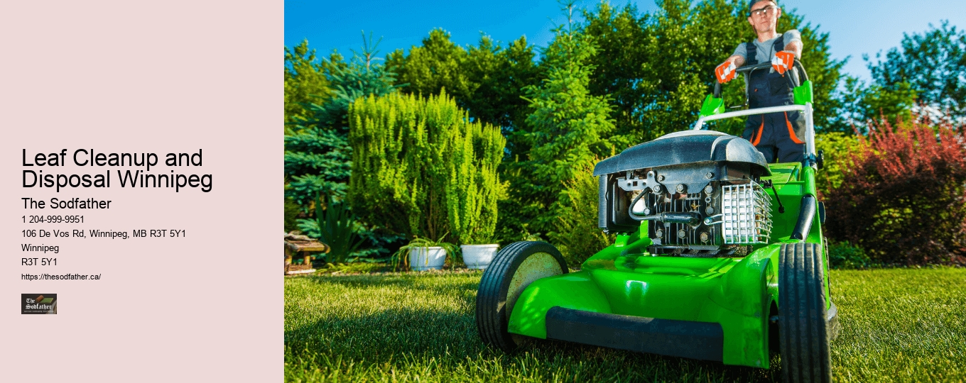 Leaf Cleanup and Disposal Winnipeg