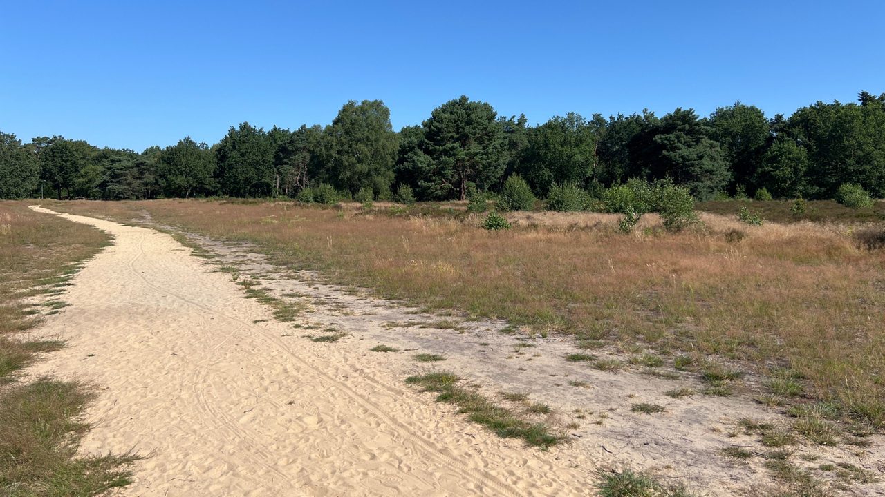 Tijdlijnfoto 14 juli 2026