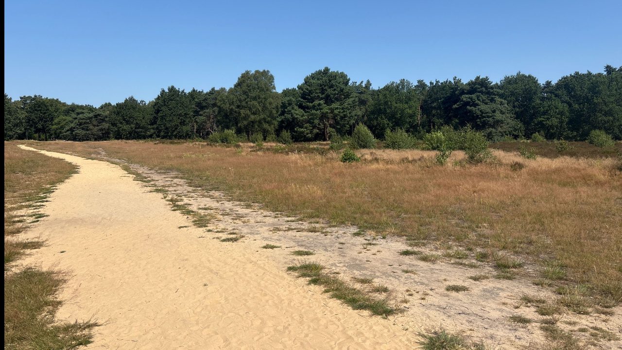 Tijdlijnfoto 15 juli 2026