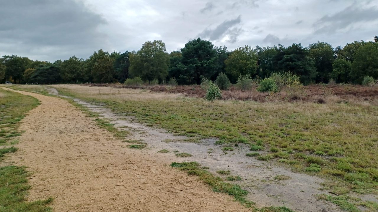 Tijdlijnfoto 23 oktober 2026