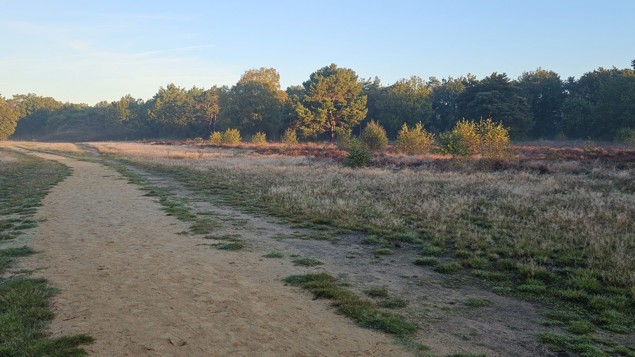 Tijdlijnfoto 12 oktober 2026