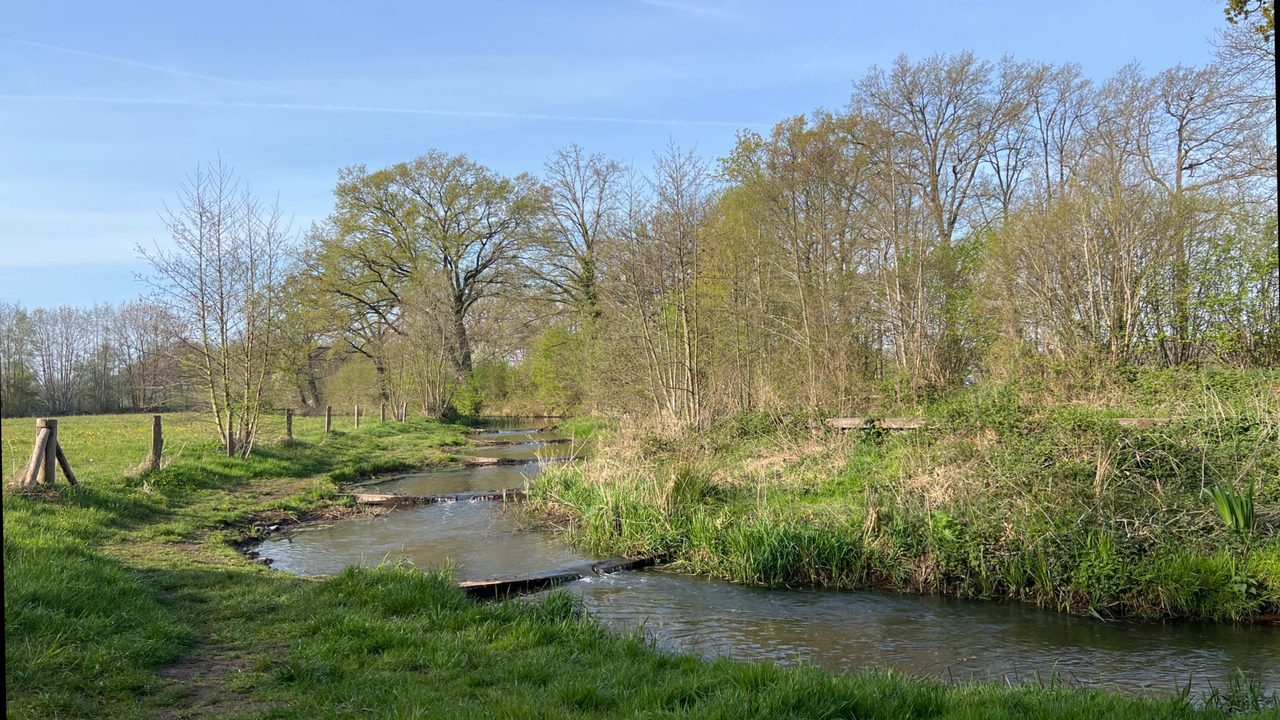 Tijdlijnfoto 15 april 2026