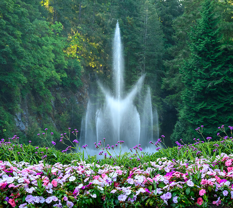 Best sightseeing experiences in BC’s capital