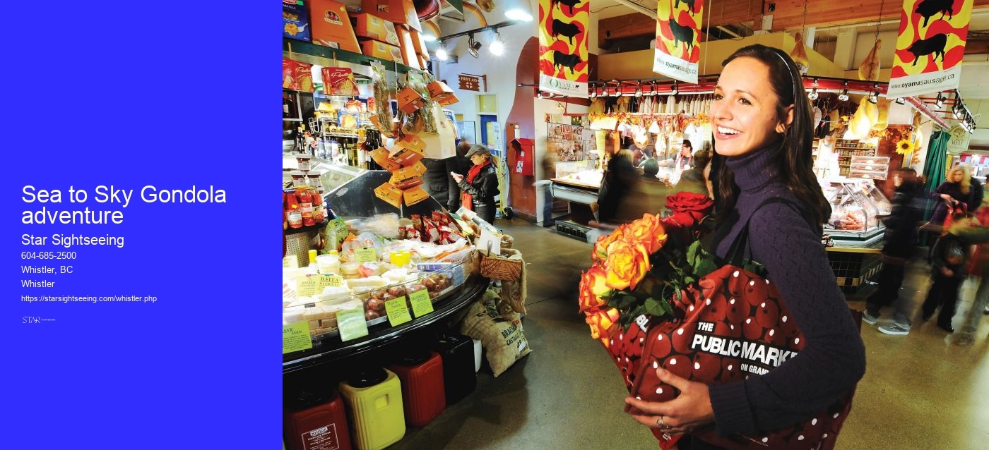 Sea to Sky Gondola adventure