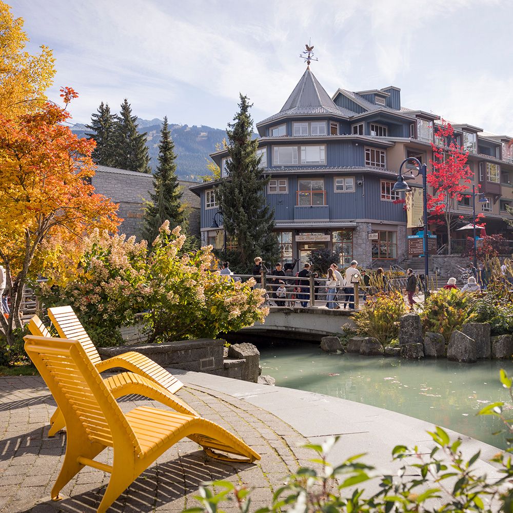 Nature reserve tours Whistler