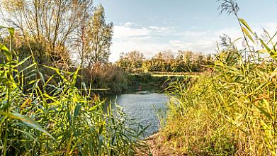 Vierkavenboswandelroute