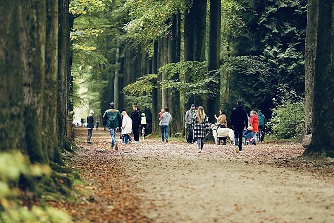  Groenendaalwandeling