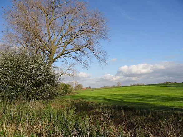 Moereveld wandelroute