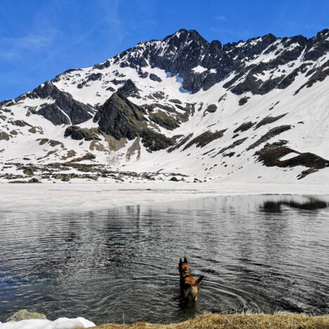 Lacs Robert par le lac Achard – 1998m