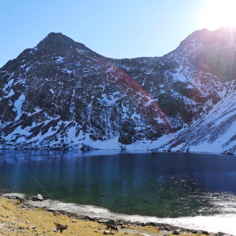 Lacs Perrin – 2340m
