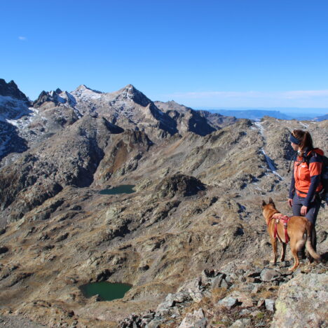 Les Dolomites avec un chien