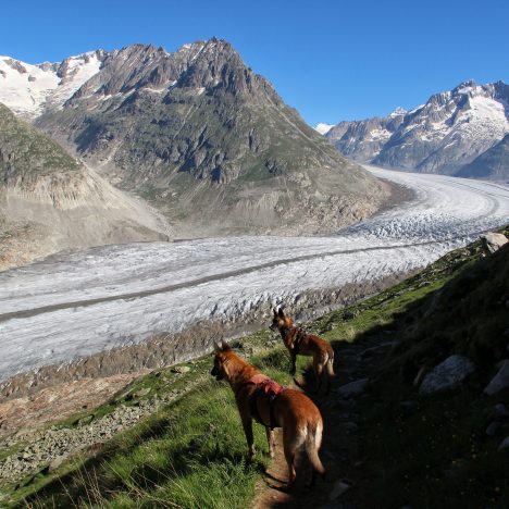 Sentier des 5 lacs de Zermatt – 2584m