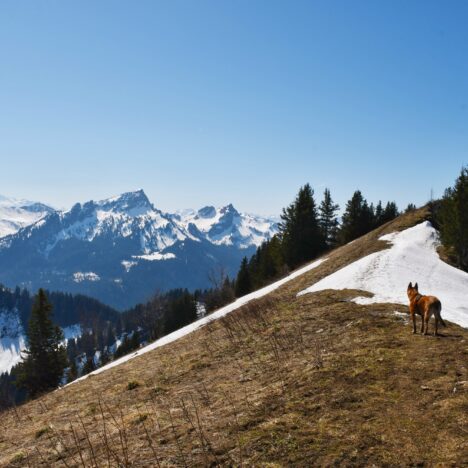 Cascades de Giessbach