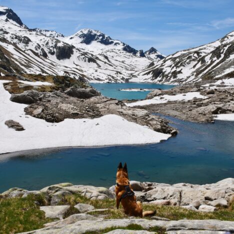 Pointe de la Galoppaz – 1681m