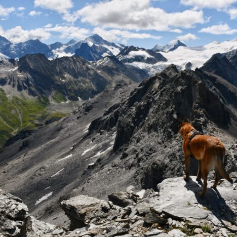 Glacier de la Girose, col des Ruillans, lac de Puy Vachier et refuge Evariste Chancel – 3200m et 2508m
