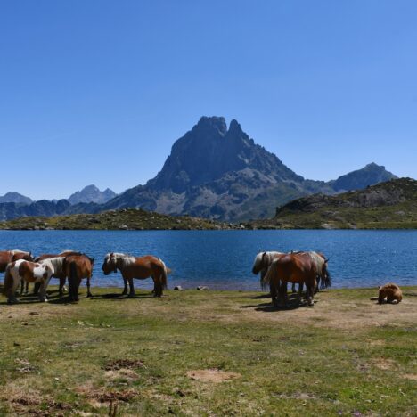 Pointe de Pelluaz et lac de la Case – 1908m