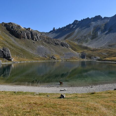 Festvågtinden – 541m