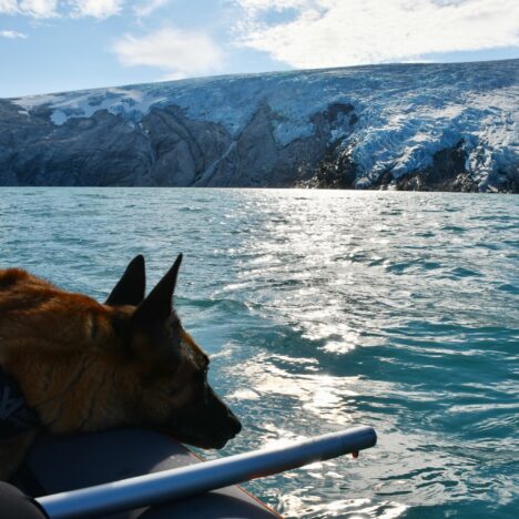 Tindstinden – 490m&nbsp;