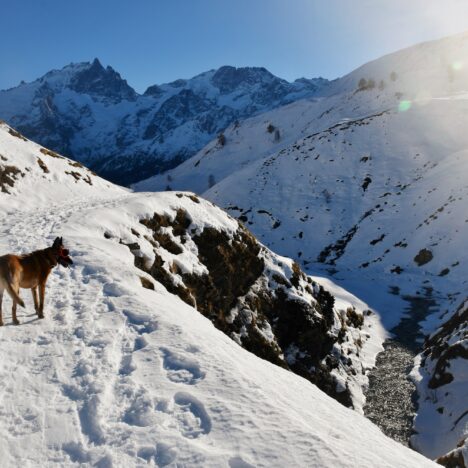 Cabane de la Tza – 2607m
