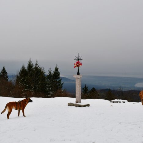 Mer de glace et refuge du Montenvers – 1913m