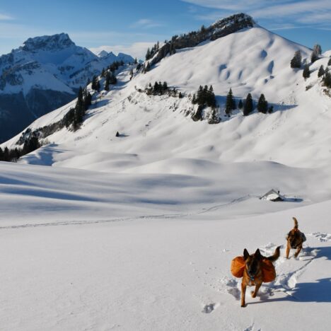 Col de la Forclaz – 1147m