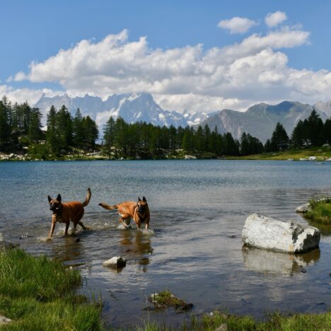 Laghi di Tormottaz et Colle di Bassa Serra – 2738m