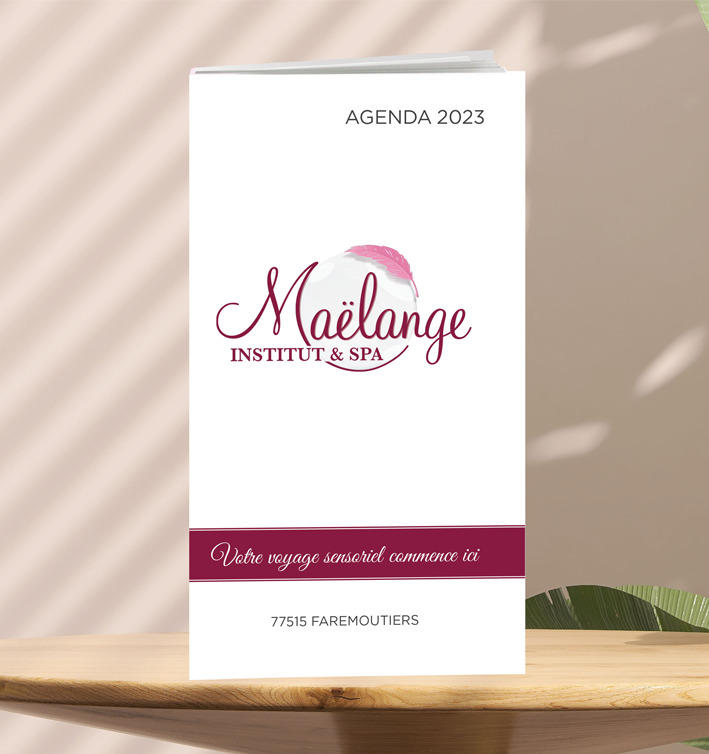 AGENDA POUR INSTITUT DE BEAUTE 4