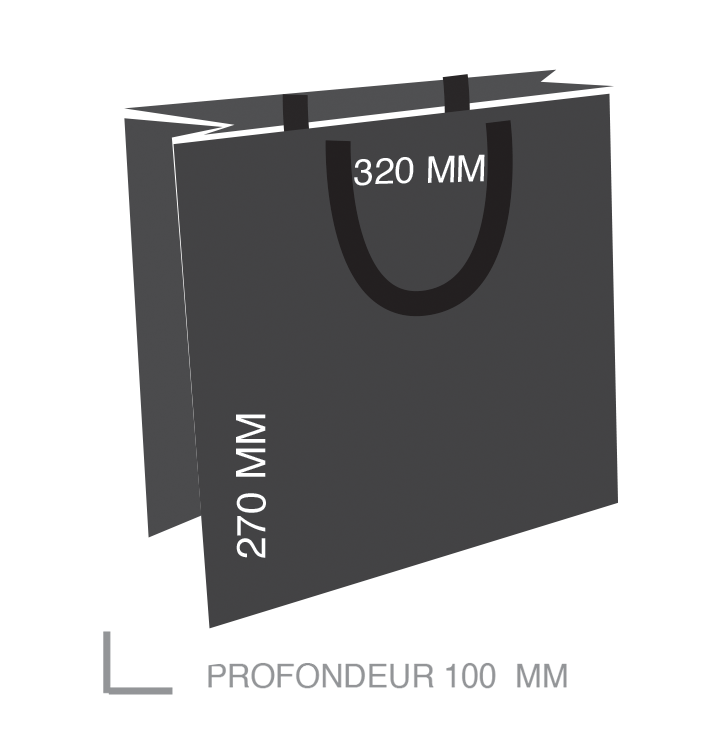 Sac Luxe institut