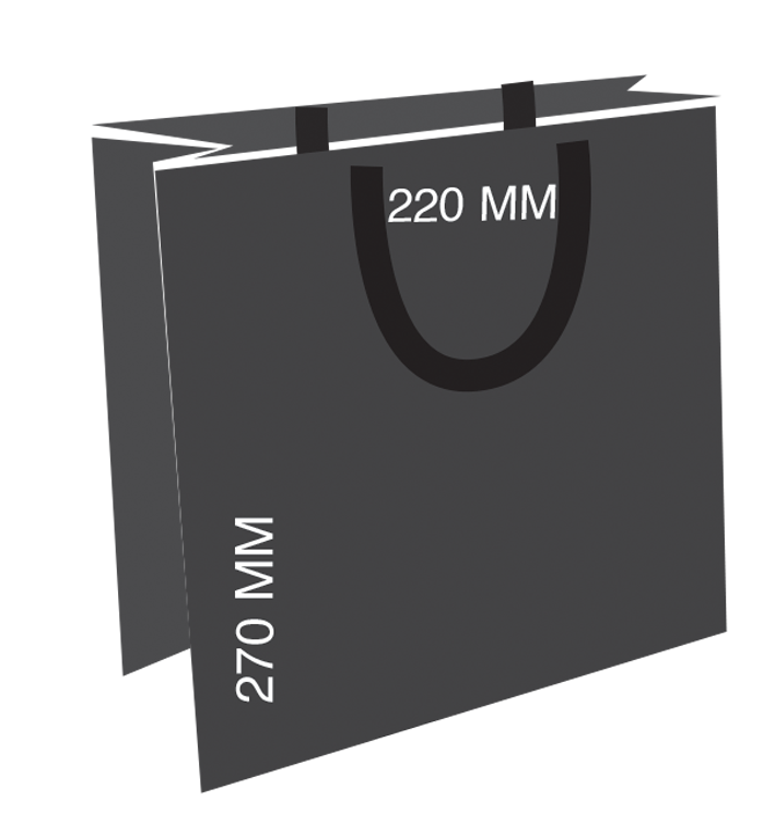 SAC LUXE 22 NOIR