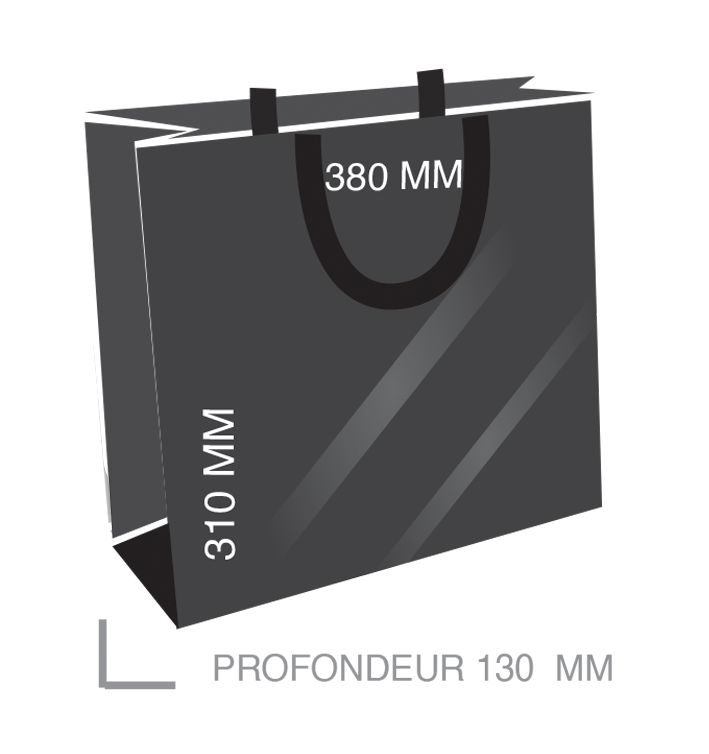 SAC LUXE 38 NOIR