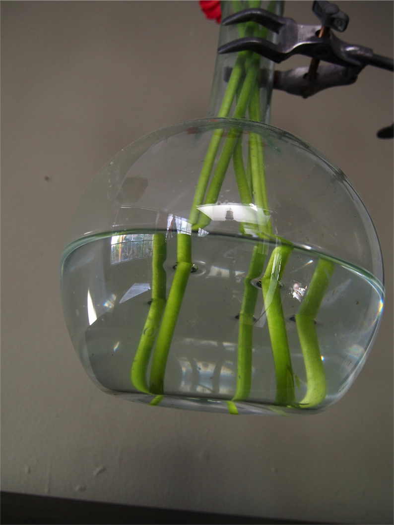 pied de laboratoire verrerie ancienne fiole – Image 6