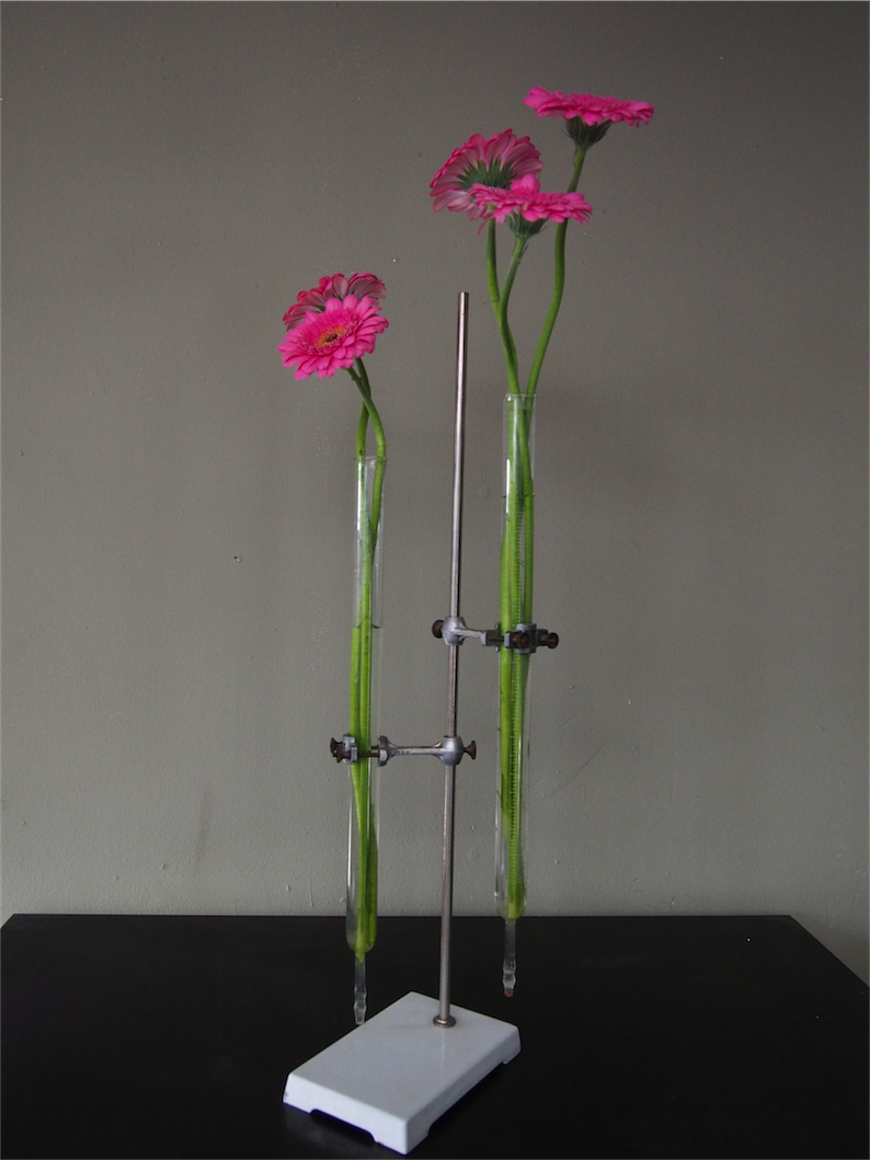 pied de laboratoire verrerie ancien tube – Image 2