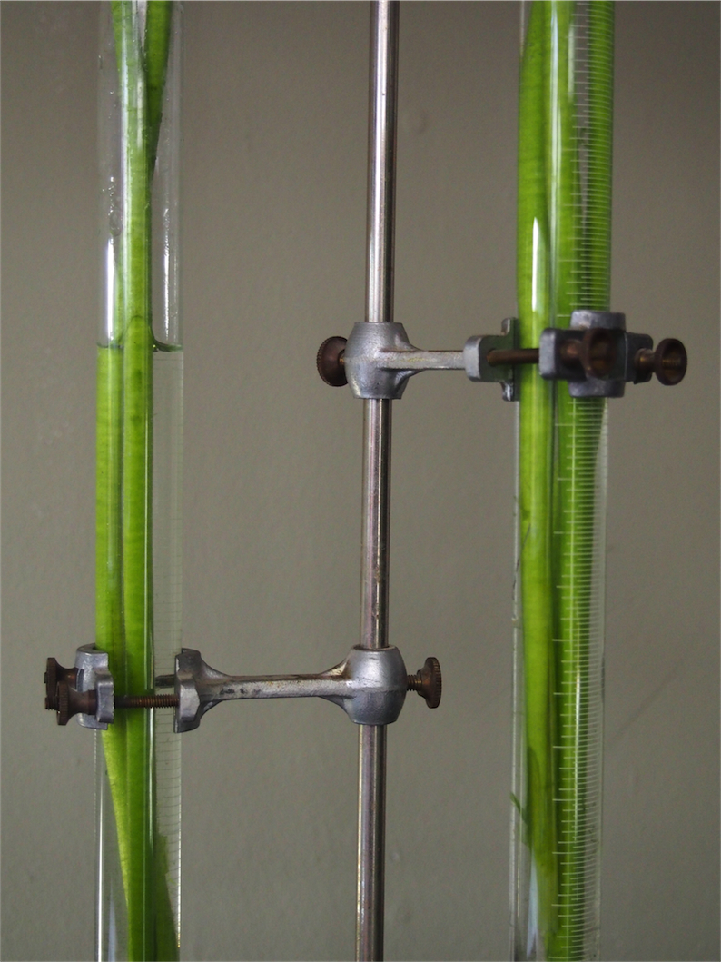 pied de laboratoire verrerie ancien tube – Image 5