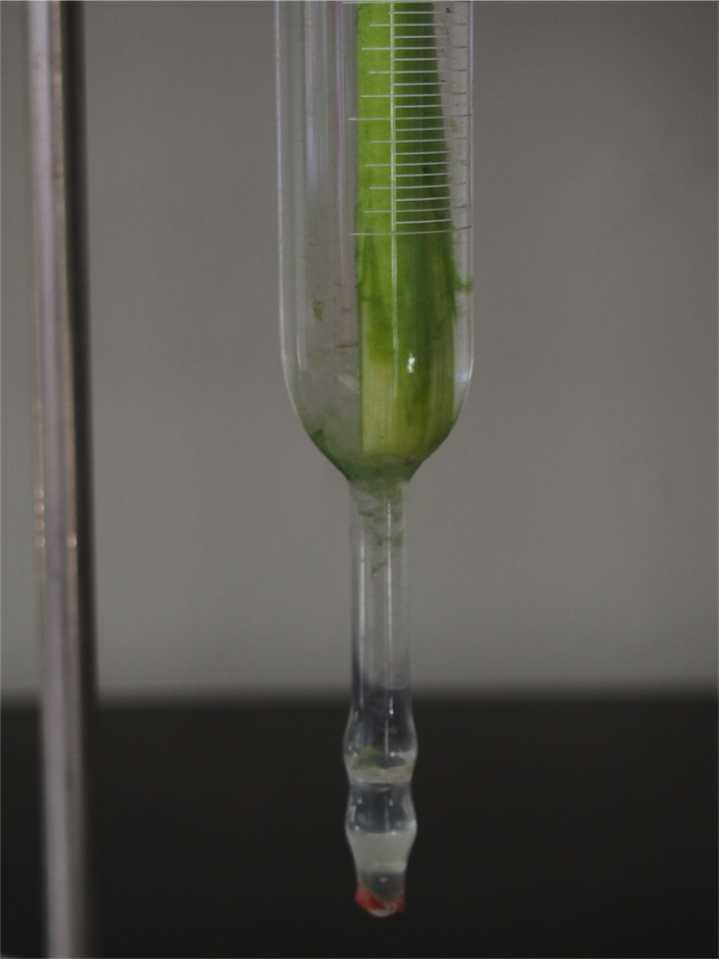 pied de laboratoire verrerie ancien tube – Image 6