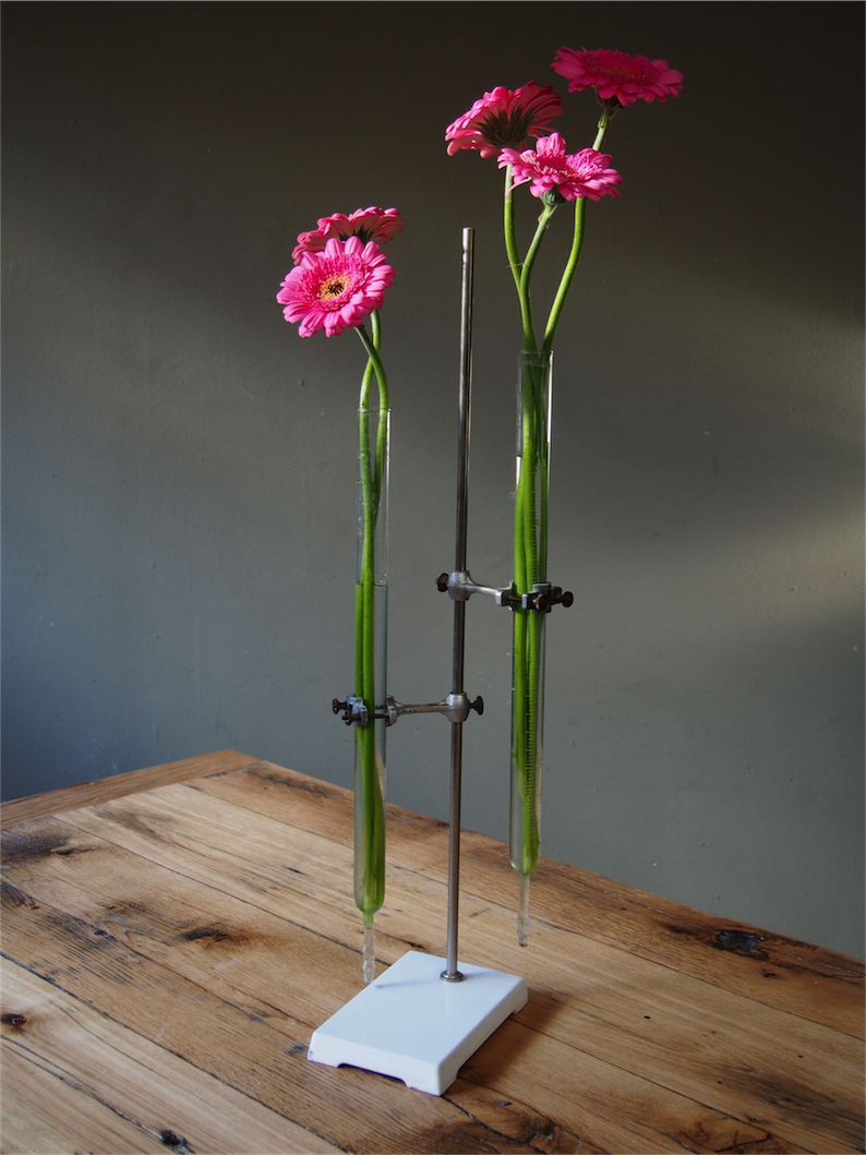 pied de laboratoire verrerie ancien tube – Image 4