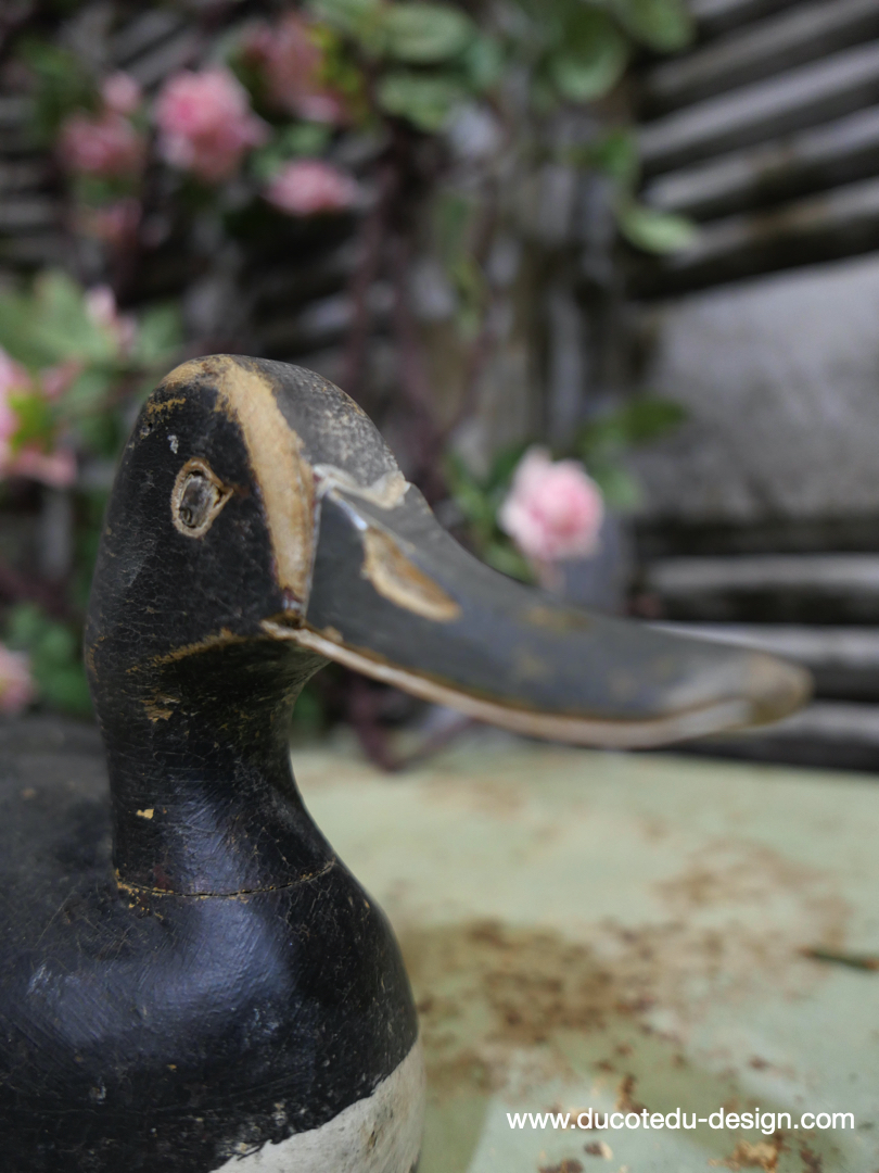 Appelant pour la chasse canard en bois / ref 1 – Image 3