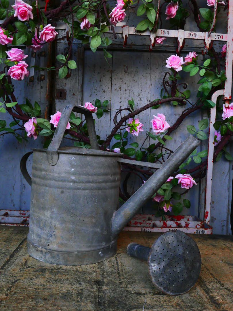 Arrosoir en zinc rouge ref 3 – Image 2